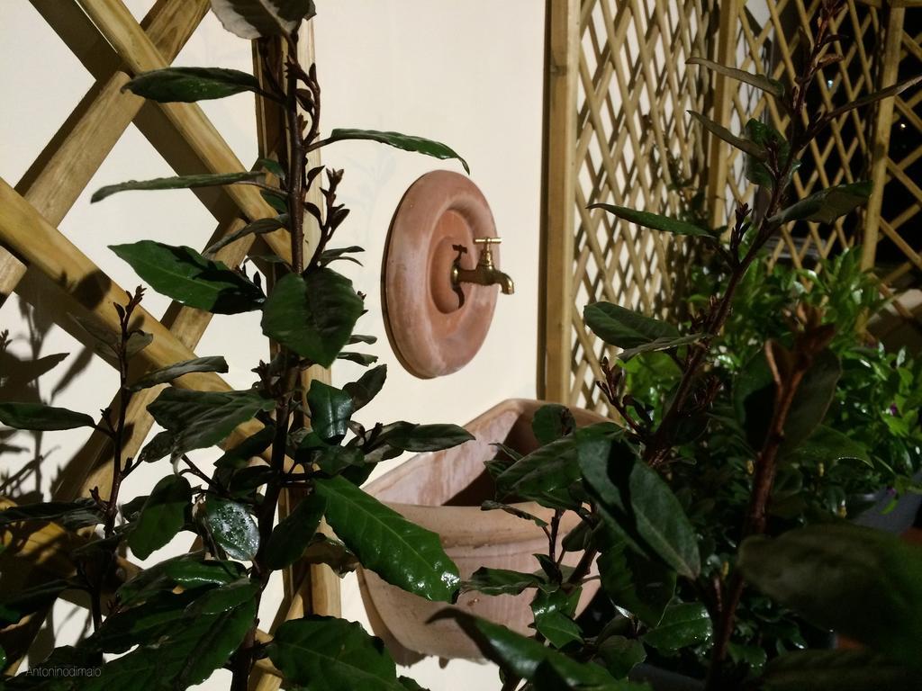 Il Giardino Segreto Acomodação com café da manhã Sorrento Exterior foto