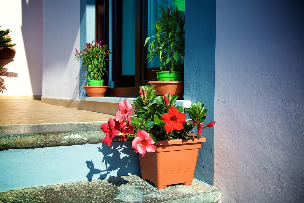 Il Giardino Segreto Acomodação com café da manhã Sorrento Exterior foto