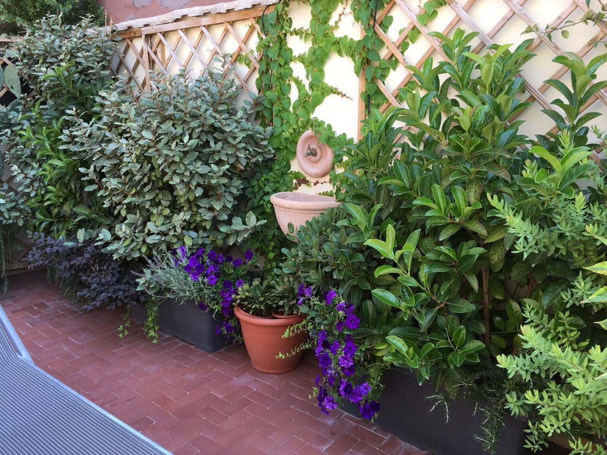 Il Giardino Segreto Acomodação com café da manhã Sorrento Exterior foto